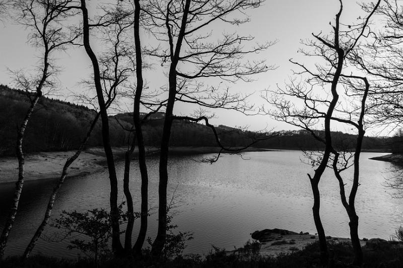 2016_12_04 (0101).jpg - Lac de Chaumeçon